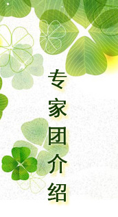 國投力信專家團介紹